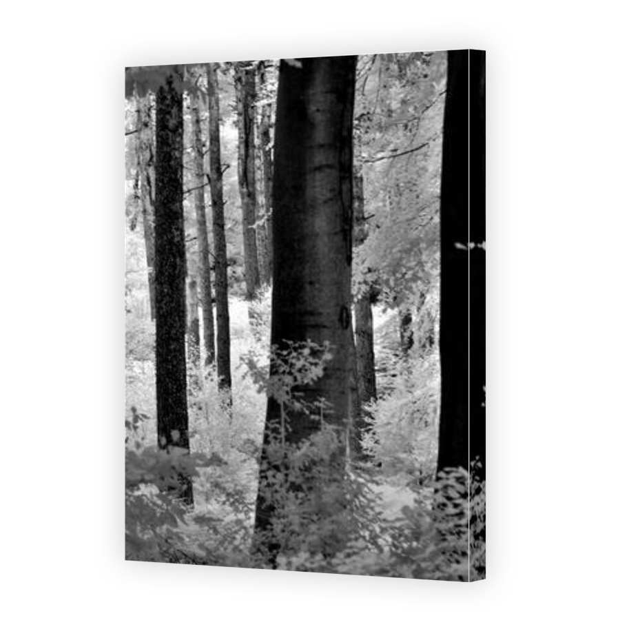 Thumbnail for Canvas - Gallery Canvas Wrap