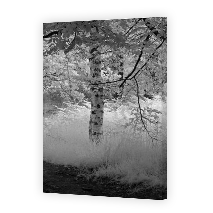Thumbnail for Canvas - Gallery Canvas Wrap
