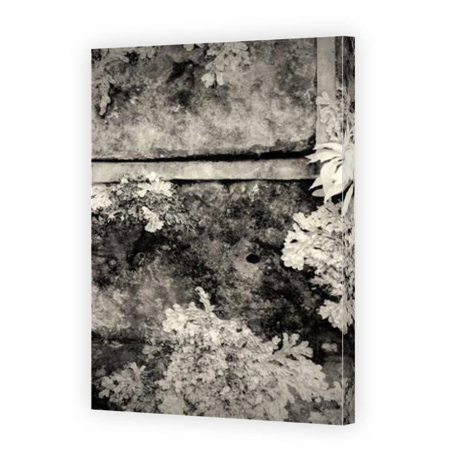 Thumbnail for Canvas - Gallery Canvas Wrap
