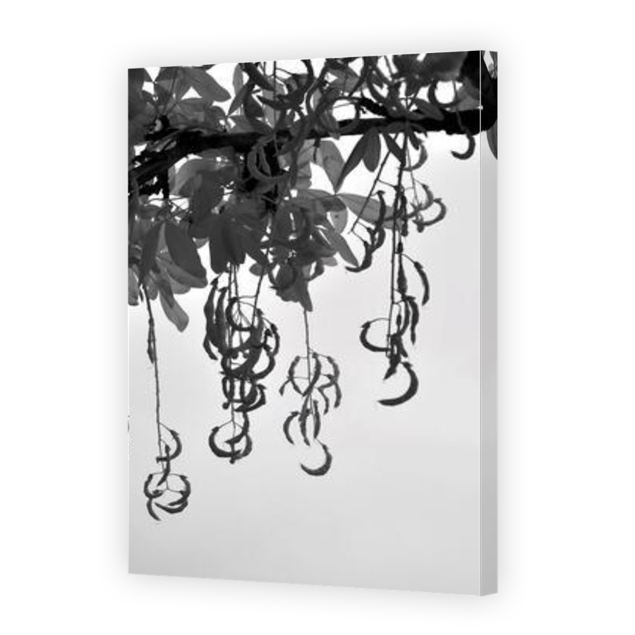 Thumbnail for Canvas - Gallery Canvas Wrap