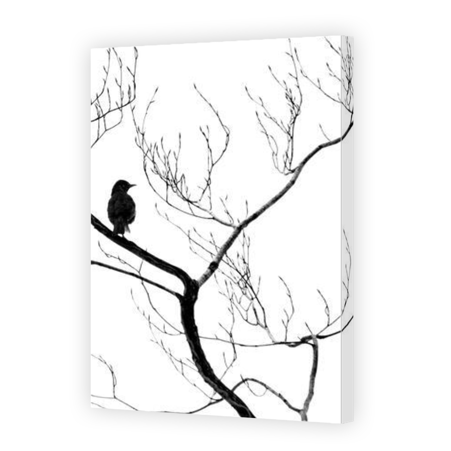 Thumbnail for Canvas - Gallery Canvas Wrap