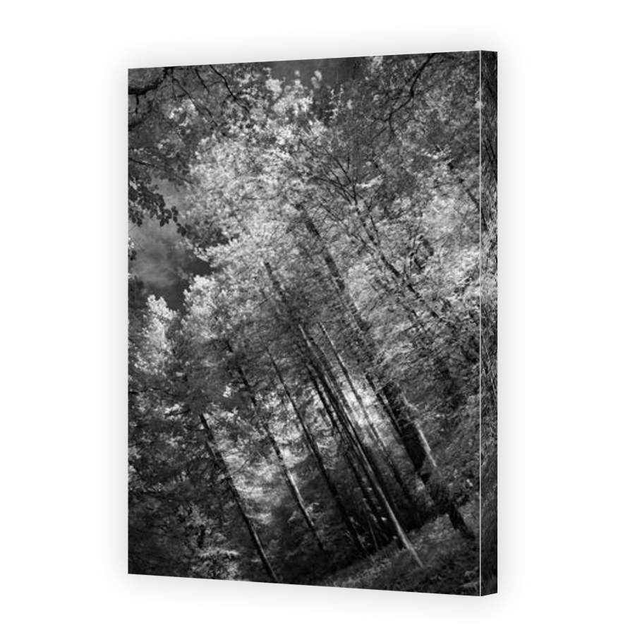 Thumbnail for Canvas - Gallery Canvas Wrap