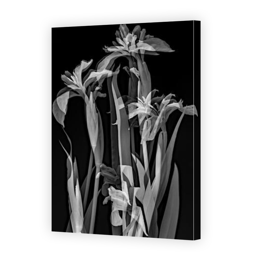 Thumbnail for Canvas - Gallery Canvas Wrap