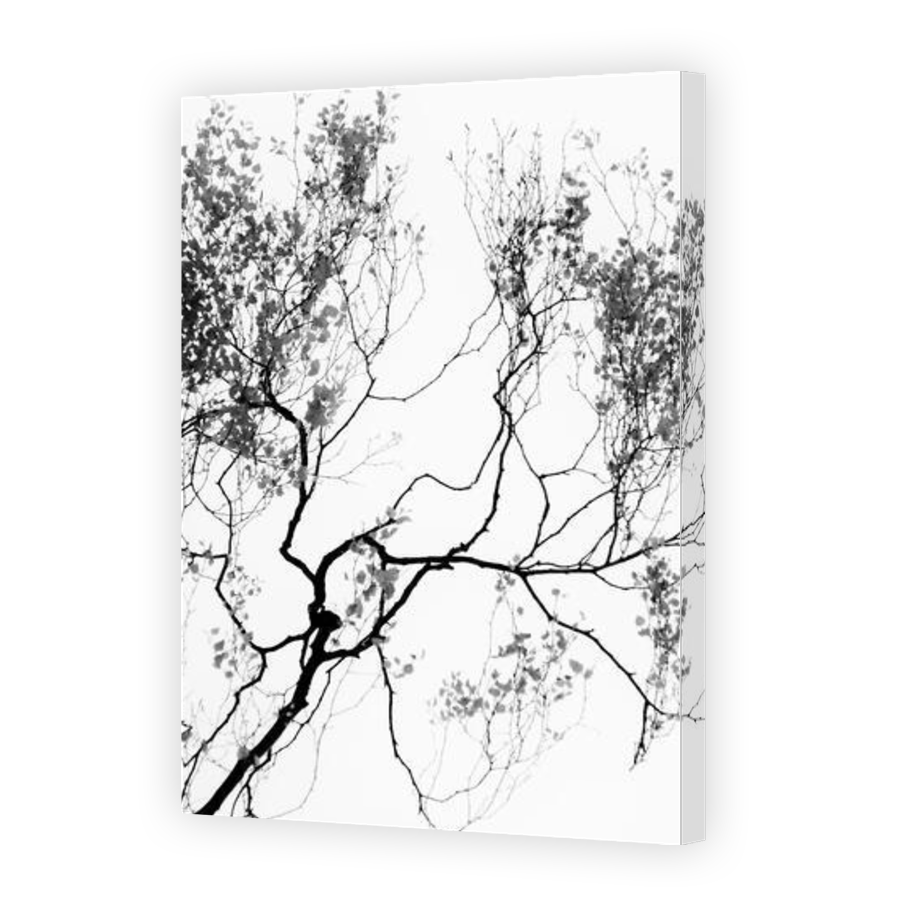 Thumbnail for Canvas - Gallery Canvas Wrap