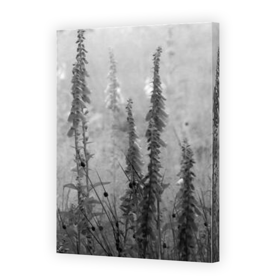 Thumbnail for Canvas - Gallery Canvas Wrap