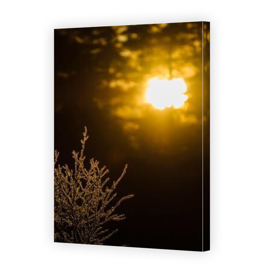Thumbnail for Canvas - Gallery Canvas Wrap