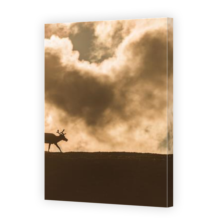 Thumbnail for Canvas - Gallery Canvas Wrap