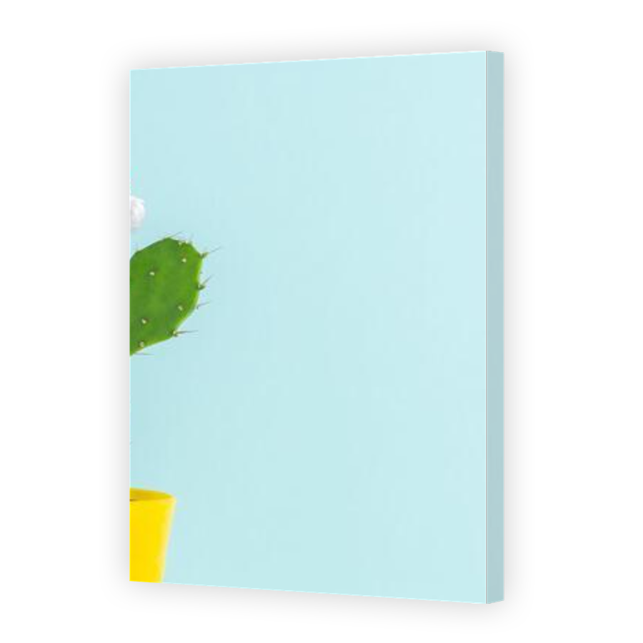 Thumbnail for Canvas - Gallery Canvas Wrap