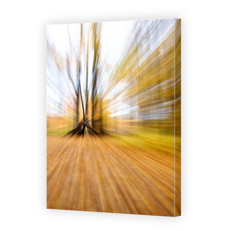 Thumbnail for Canvas - Gallery Canvas Wrap