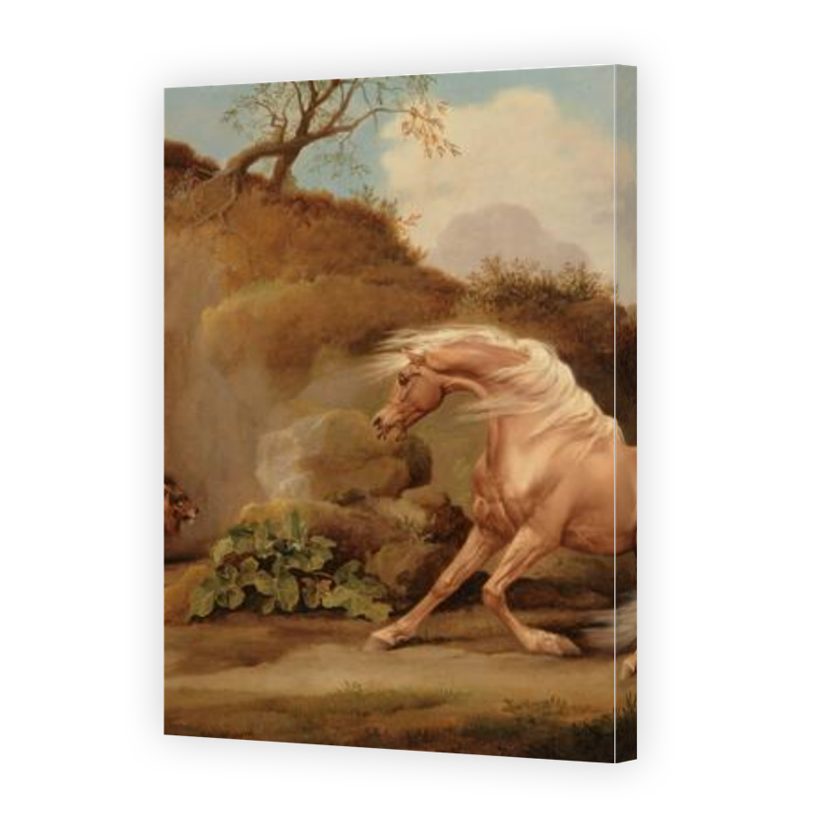 Thumbnail for Canvas - Gallery Canvas Wrap