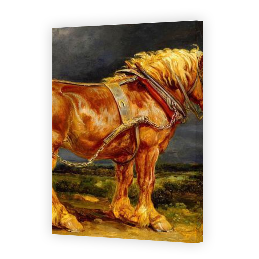 Thumbnail for Canvas - Gallery Canvas Wrap