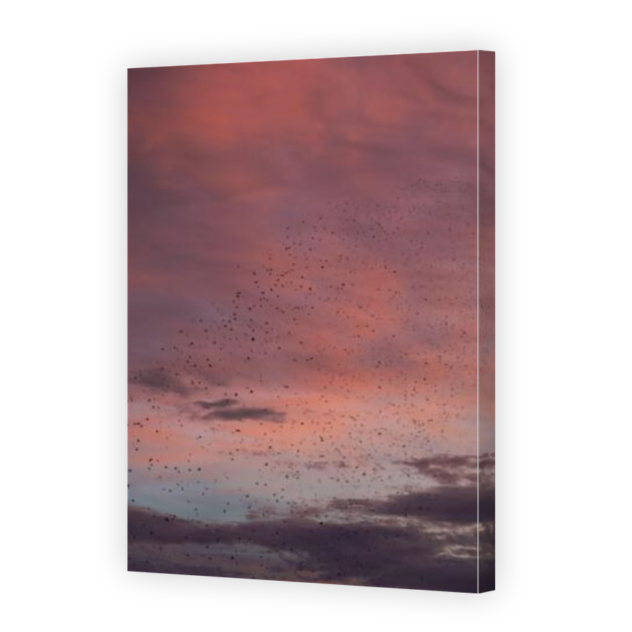 Thumbnail for Canvas - Gallery Canvas Wrap