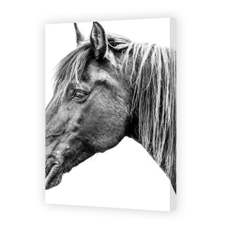 Thumbnail for Canvas - Gallery Canvas Wrap