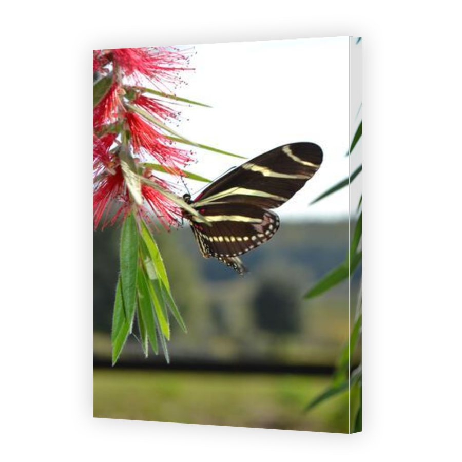 Thumbnail for Canvas - Gallery Canvas Wrap