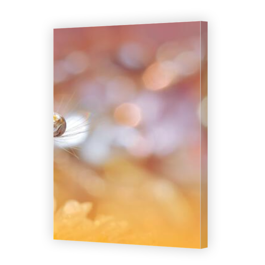 Thumbnail for Canvas - Gallery Canvas Wrap