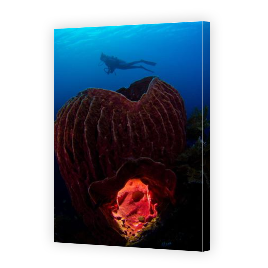 Thumbnail for Canvas - Gallery Canvas Wrap