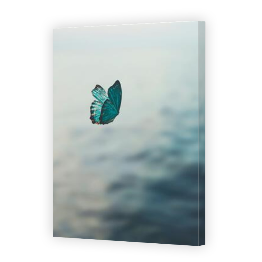 Thumbnail for Canvas - Gallery Canvas Wrap