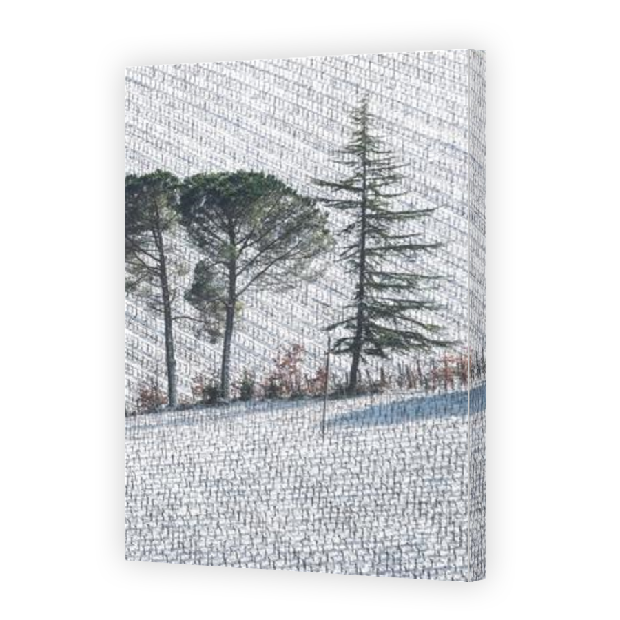 Thumbnail for Canvas - Gallery Canvas Wrap