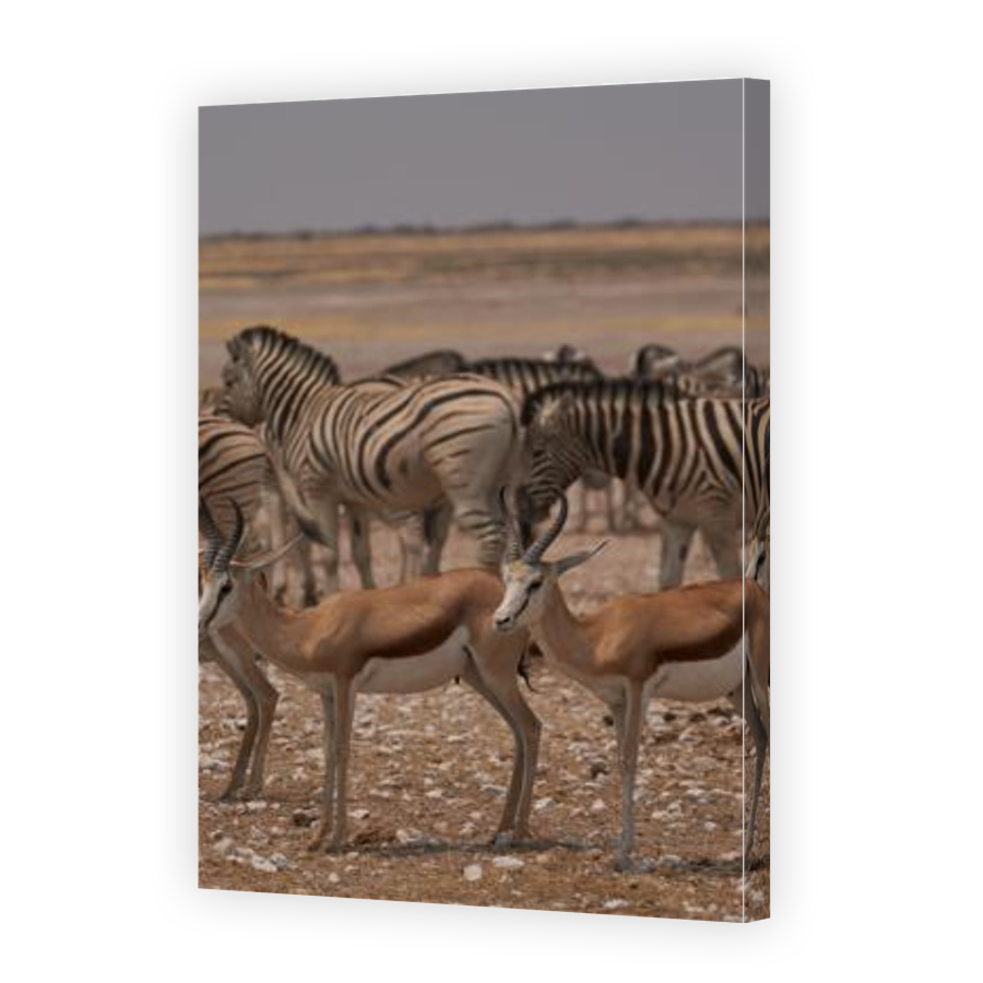 Thumbnail for Canvas - Gallery Canvas Wrap