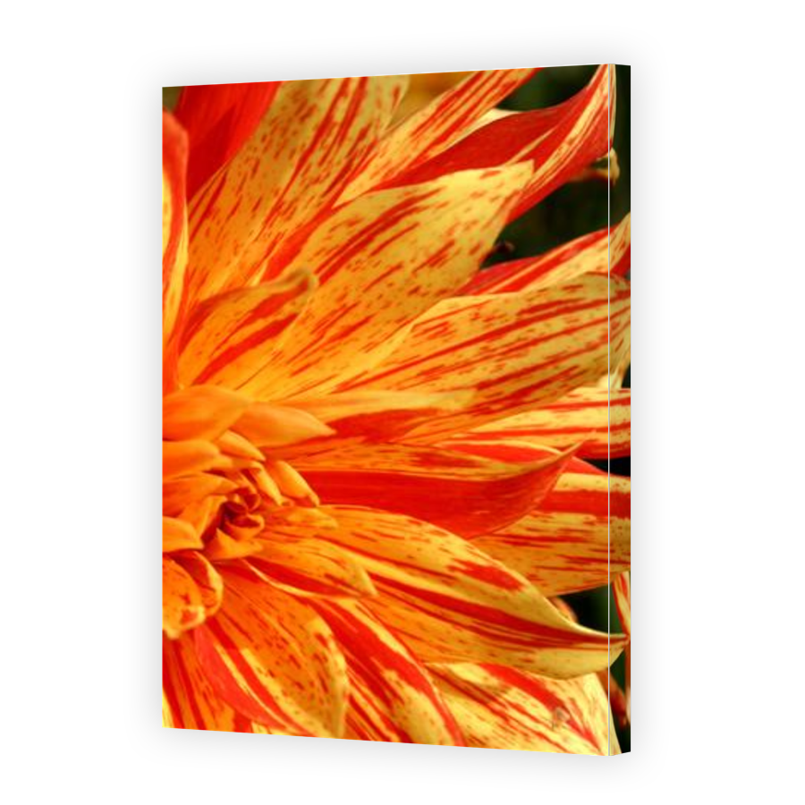 Thumbnail for Canvas - Gallery Canvas Wrap