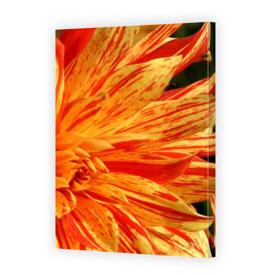 Thumbnail for Canvas - Gallery Canvas Wrap