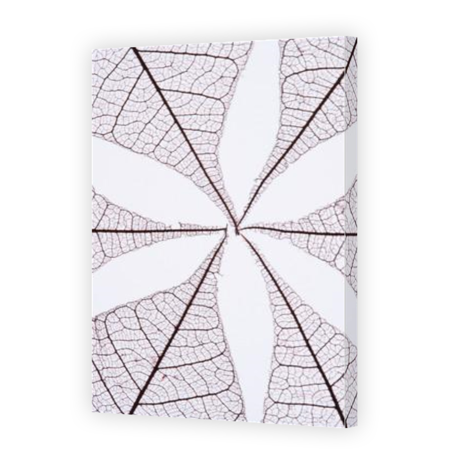 Thumbnail for Canvas - Gallery Canvas Wrap