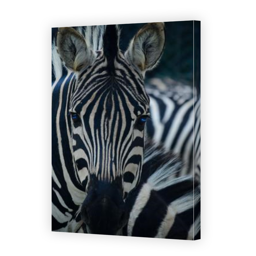 Thumbnail for Canvas - Gallery Canvas Wrap