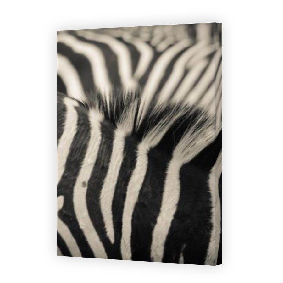 Thumbnail for Canvas - Gallery Canvas Wrap