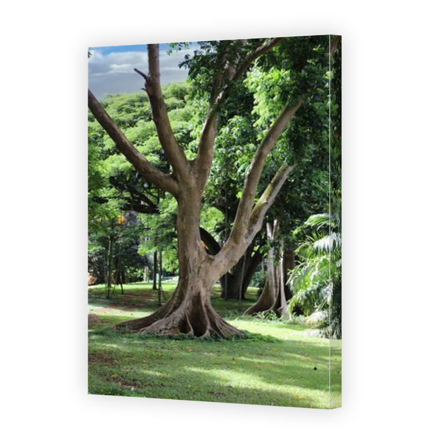 Thumbnail for Canvas - Gallery Canvas Wrap