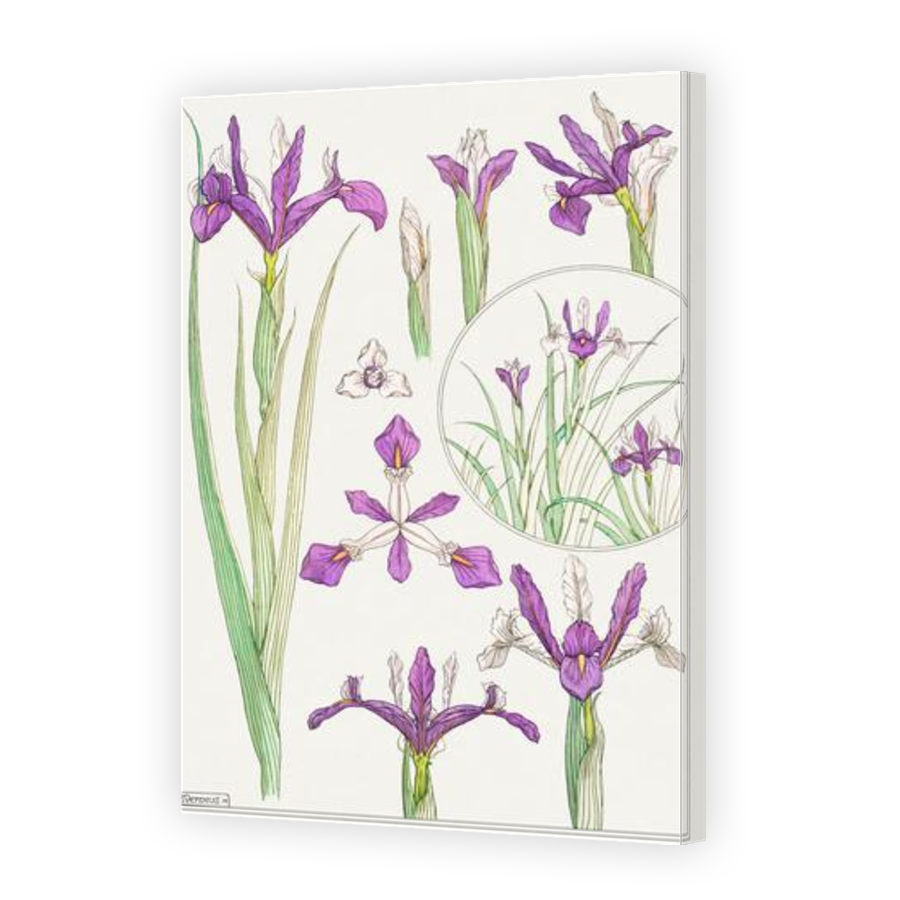 Thumbnail for Canvas - Gallery Canvas Wrap