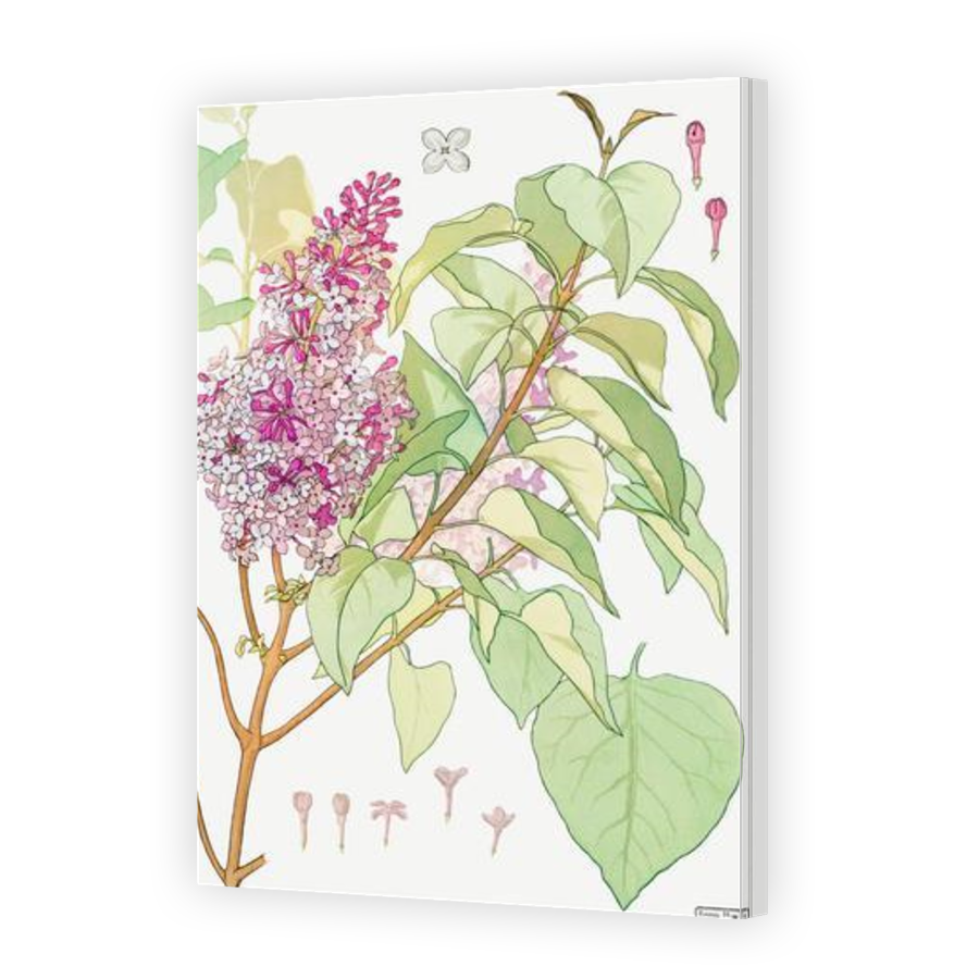 Thumbnail for Canvas - Gallery Canvas Wrap