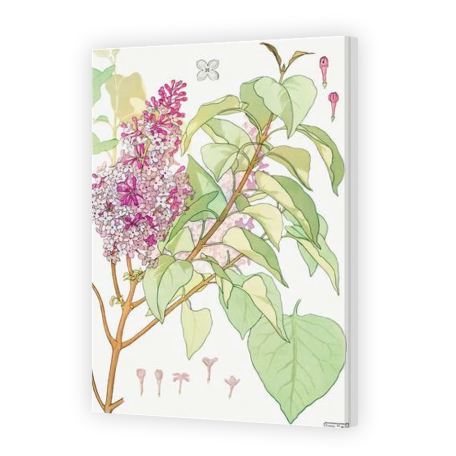 Thumbnail for Canvas - Gallery Canvas Wrap