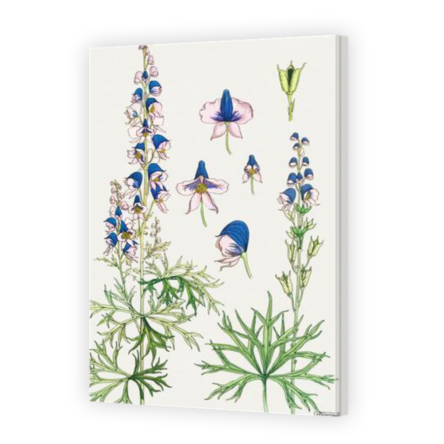 Thumbnail for Canvas - Gallery Canvas Wrap