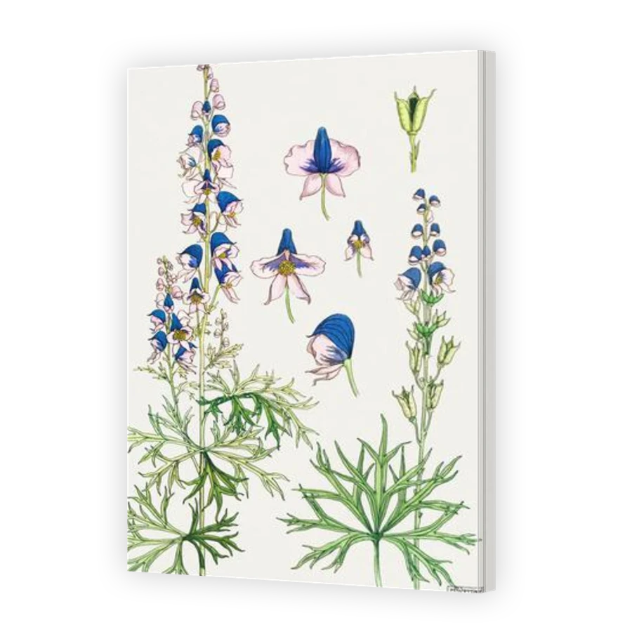 Thumbnail for Canvas - Gallery Canvas Wrap