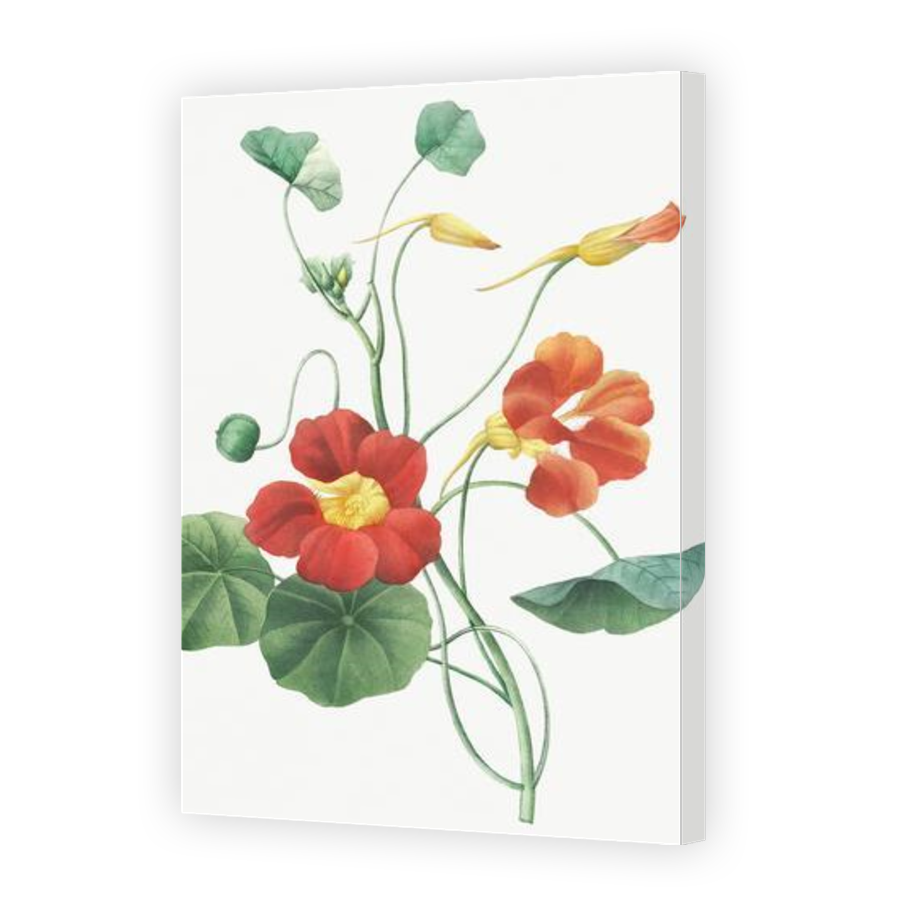 Thumbnail for Canvas - Gallery Canvas Wrap