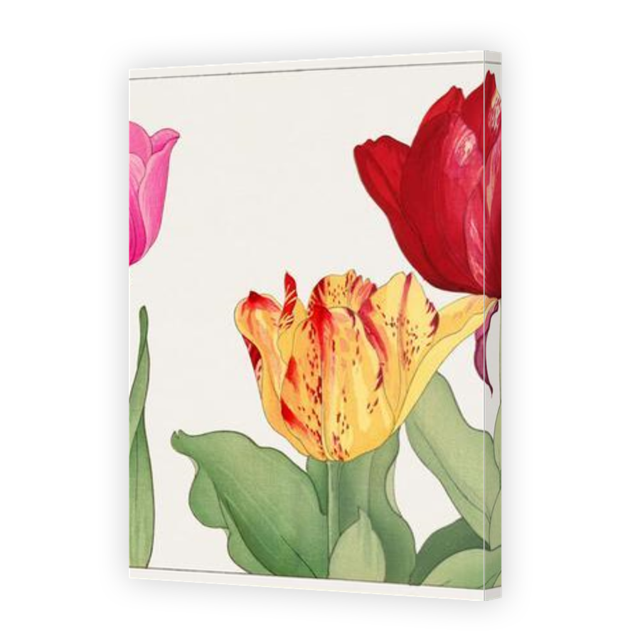 Thumbnail for Canvas - Gallery Canvas Wrap