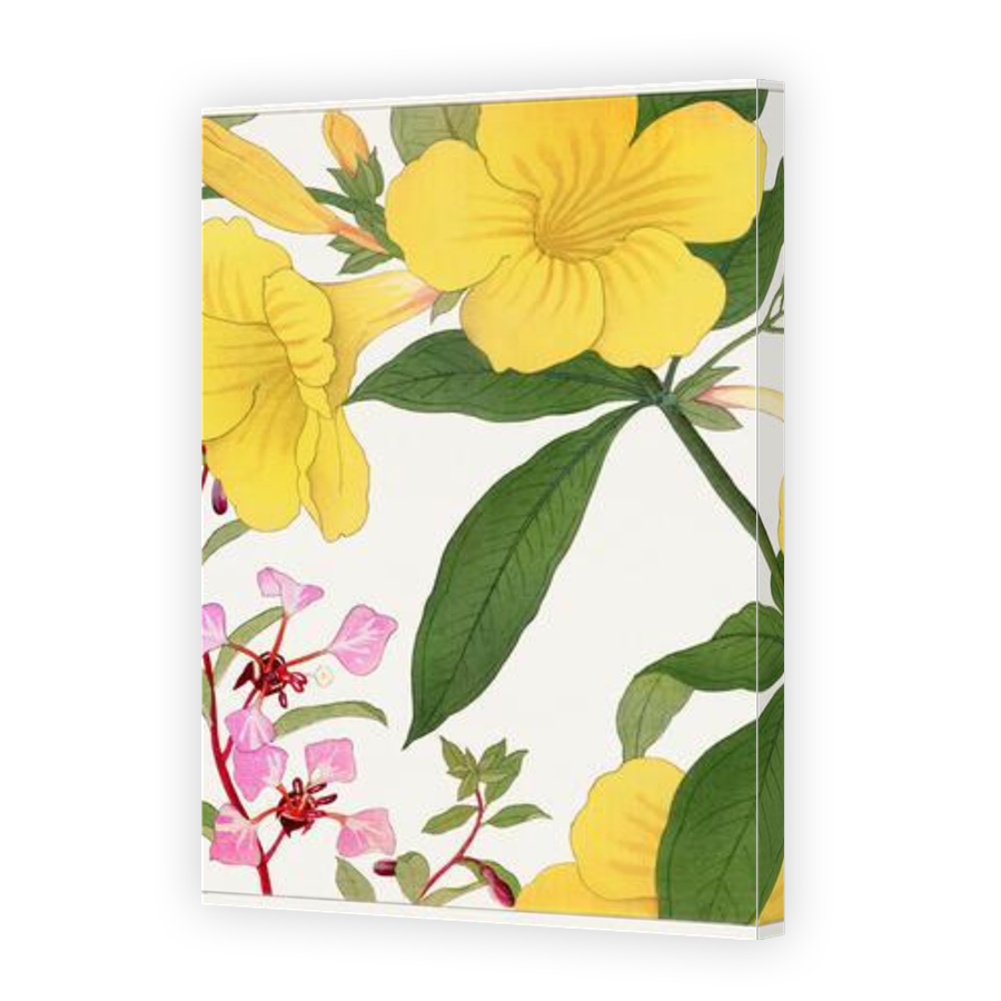 Thumbnail for Canvas - Gallery Canvas Wrap