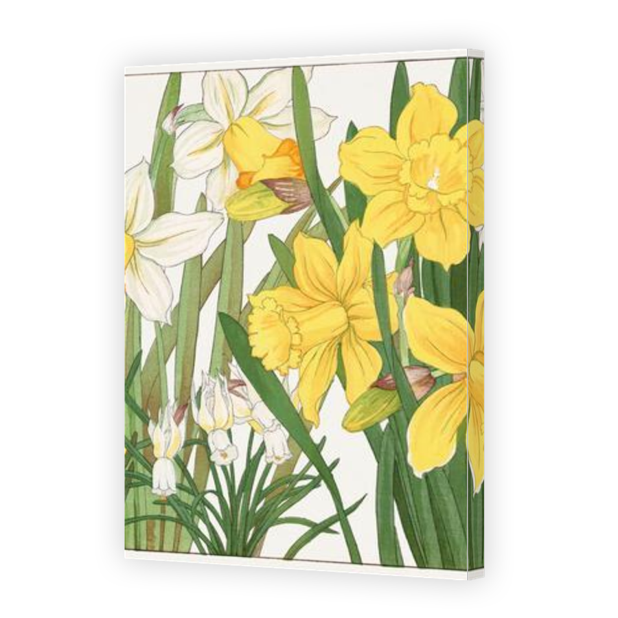 Thumbnail for Canvas - Gallery Canvas Wrap