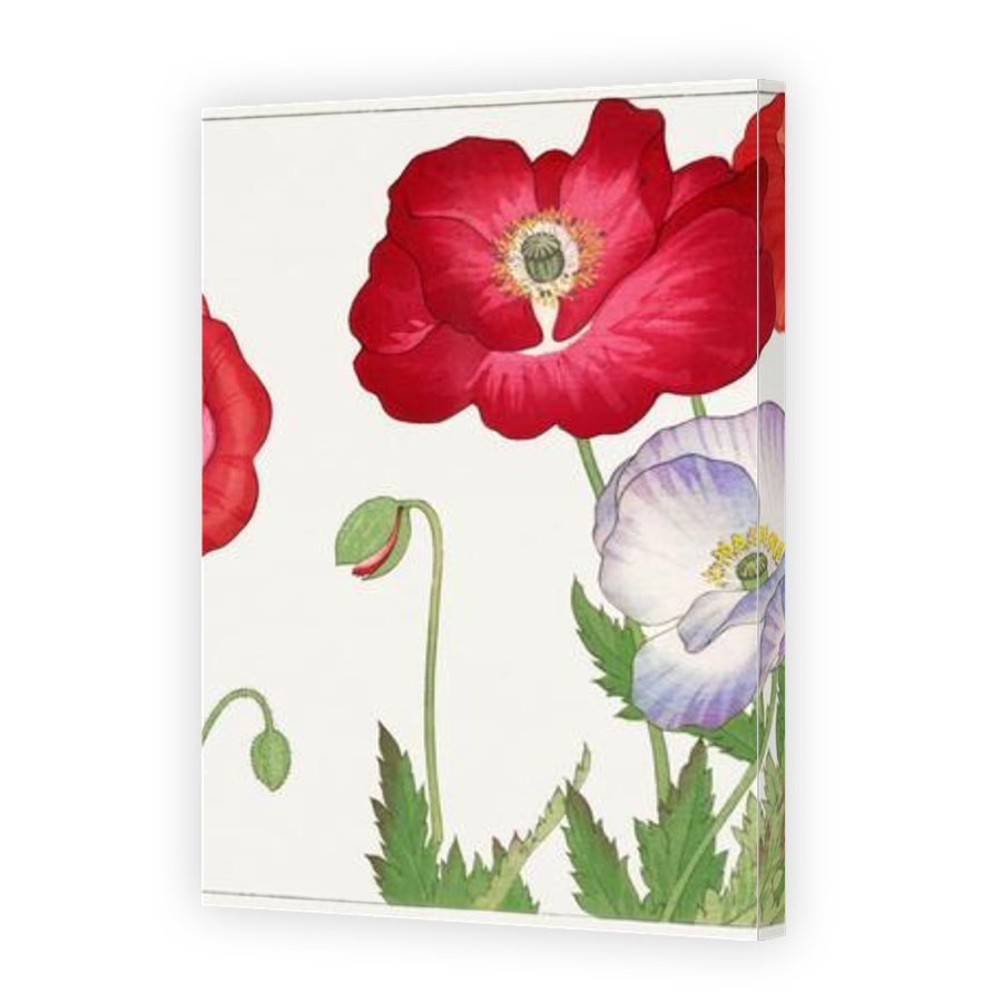 Thumbnail for Canvas - Gallery Canvas Wrap