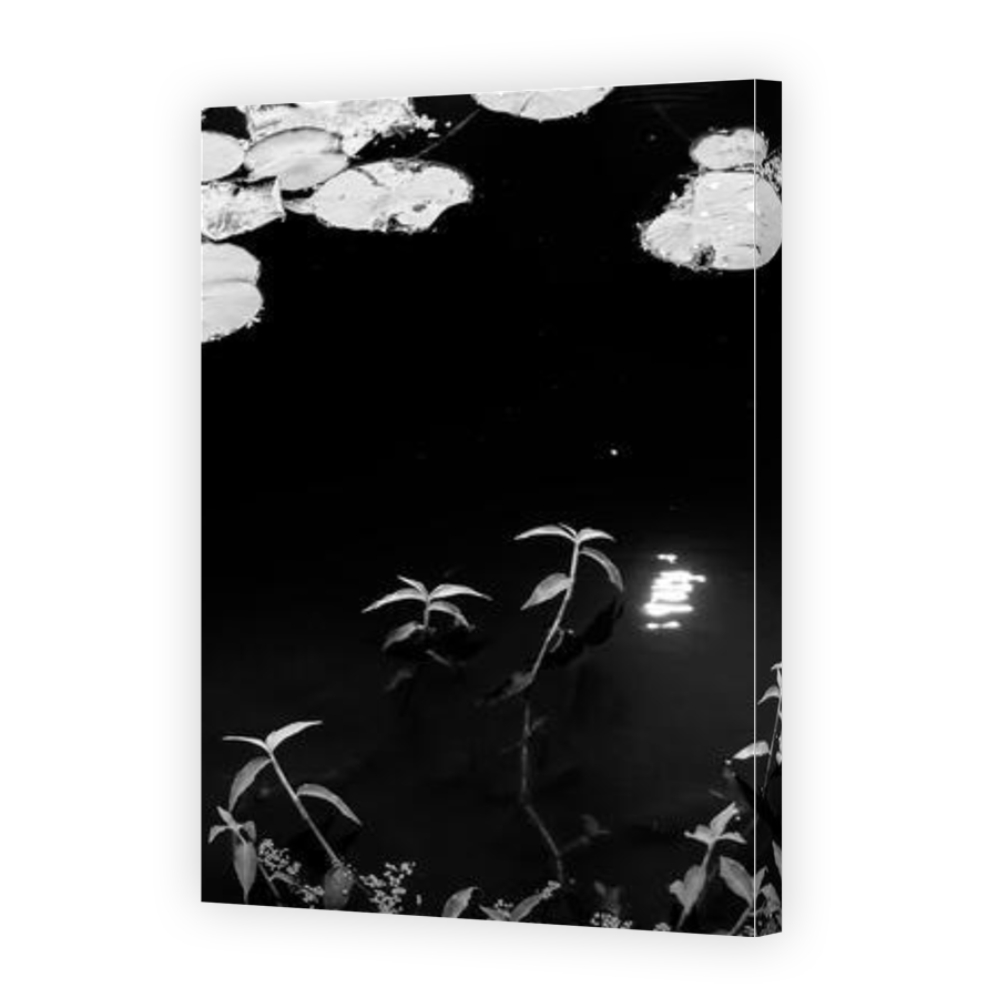 Thumbnail for Canvas - Gallery Canvas Wrap