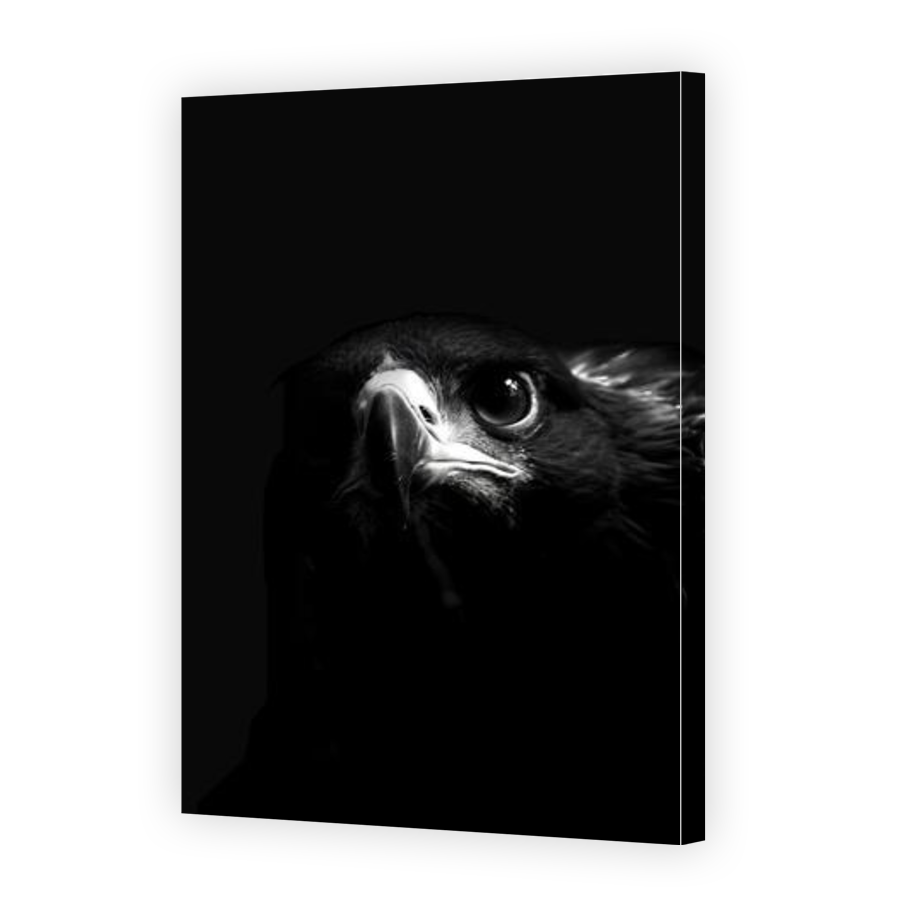 Thumbnail for Canvas - Gallery Canvas Wrap