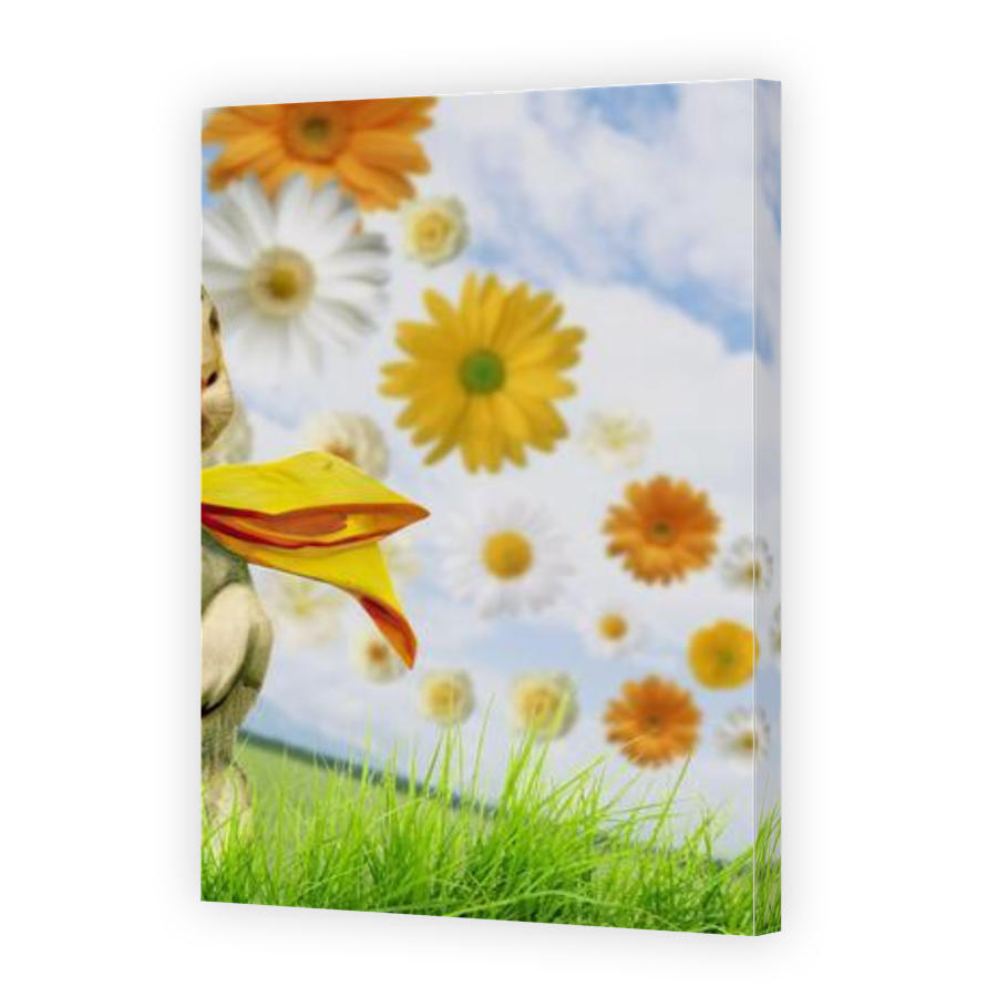 Thumbnail for Canvas - Gallery Canvas Wrap