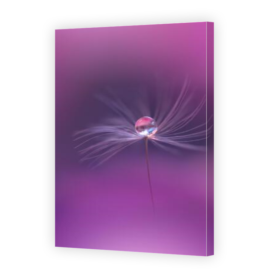 Thumbnail for Canvas - Gallery Canvas Wrap