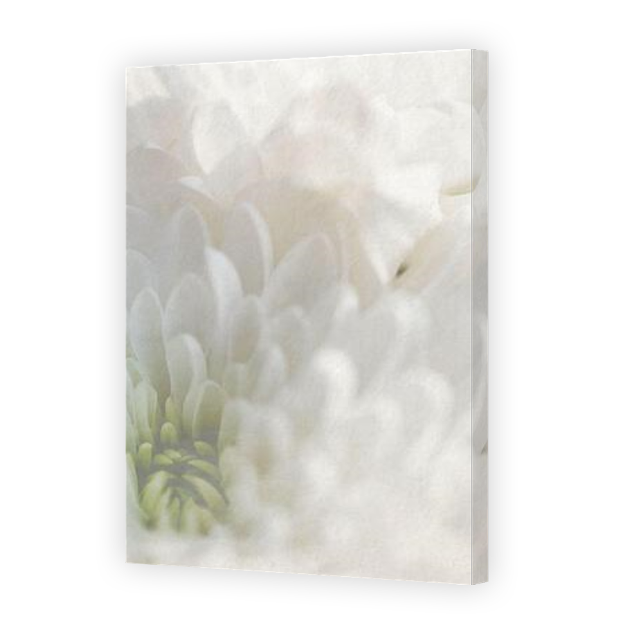 Thumbnail for Canvas - Gallery Canvas Wrap