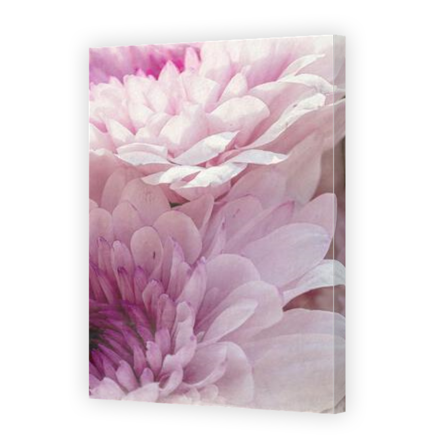 Thumbnail for Canvas - Gallery Canvas Wrap