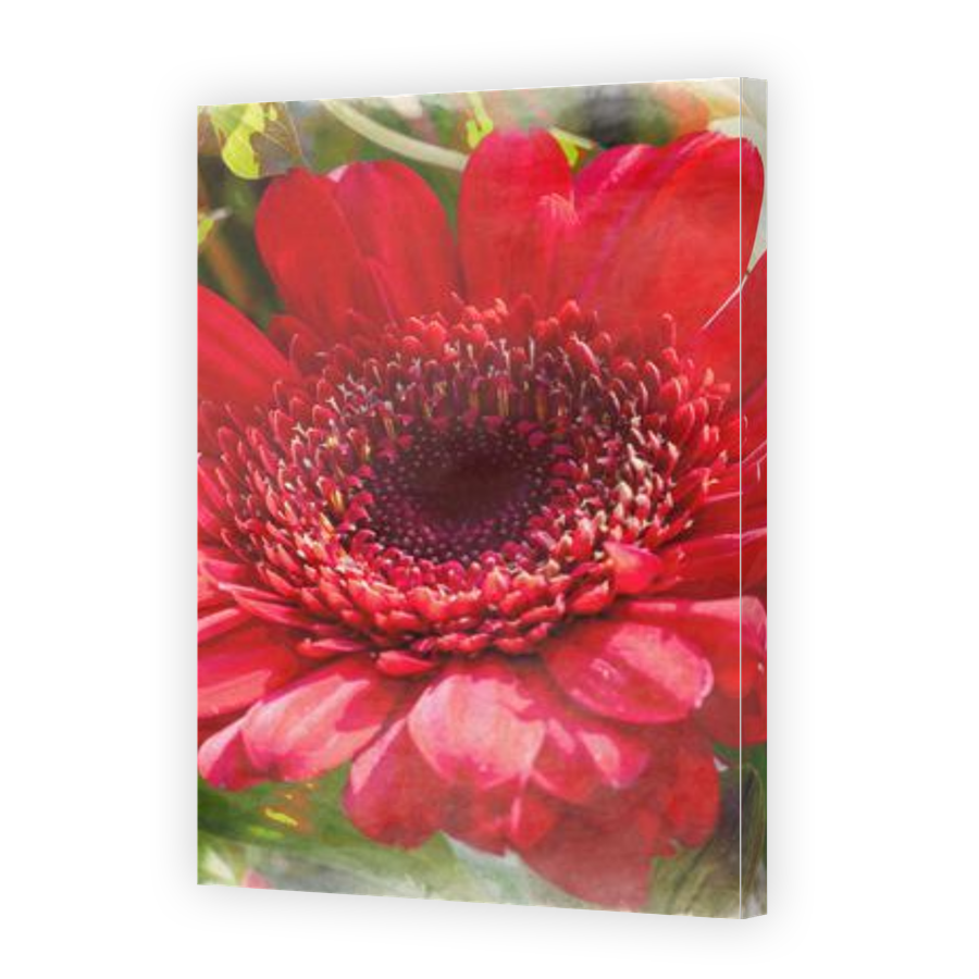 Thumbnail for Canvas - Gallery Canvas Wrap
