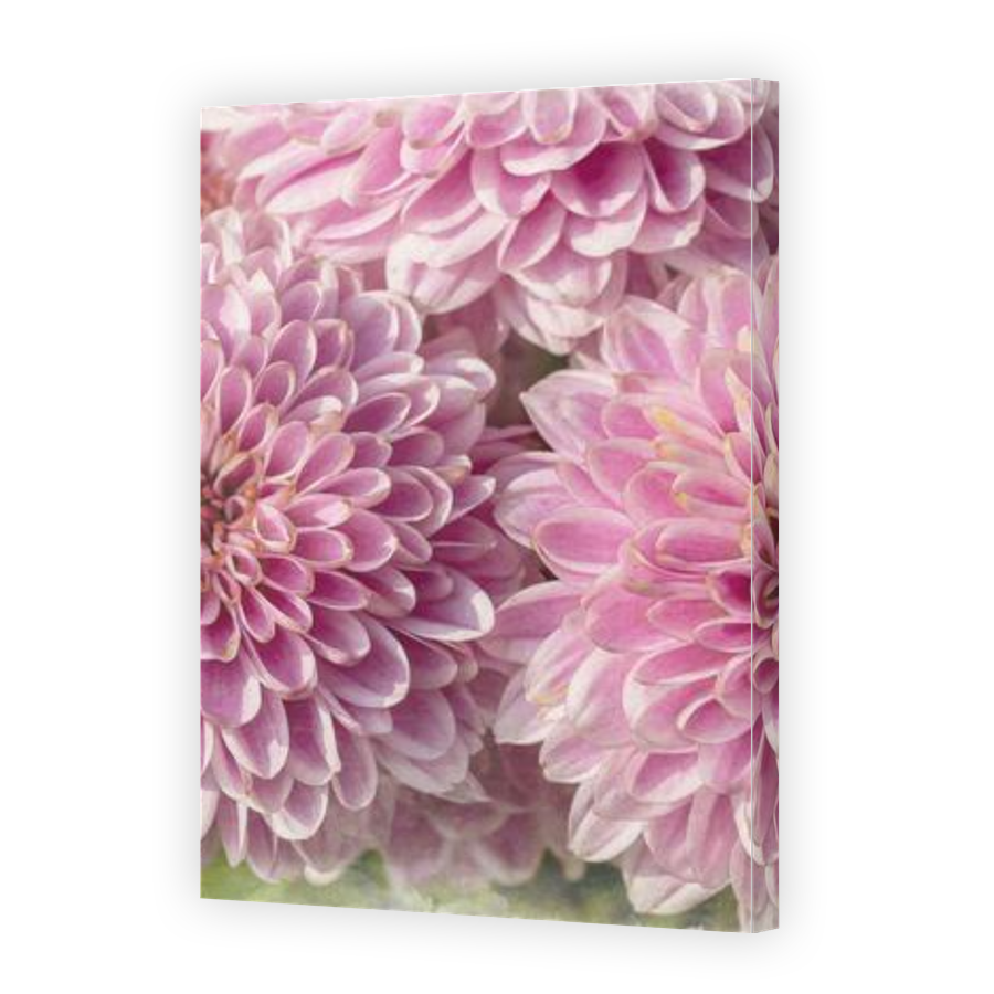 Thumbnail for Canvas - Gallery Canvas Wrap