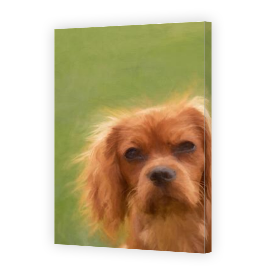 Thumbnail for Canvas - Gallery Canvas Wrap