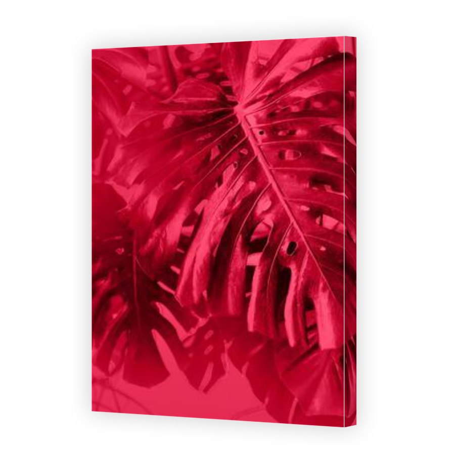Thumbnail for Canvas - Gallery Canvas Wrap