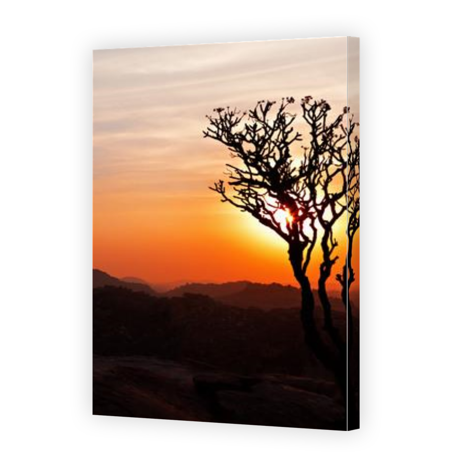 Thumbnail for Canvas - Gallery Canvas Wrap